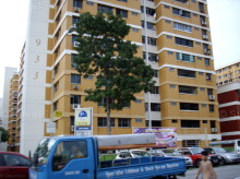 Blk 933 Jurong West Street 91 (Jurong West), HDB 5 Rooms #411132